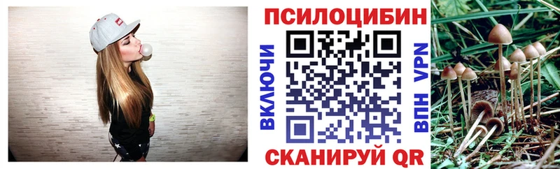 Купить закладки  Пикалёво  Галлюциногенные грибы прущие грибы 